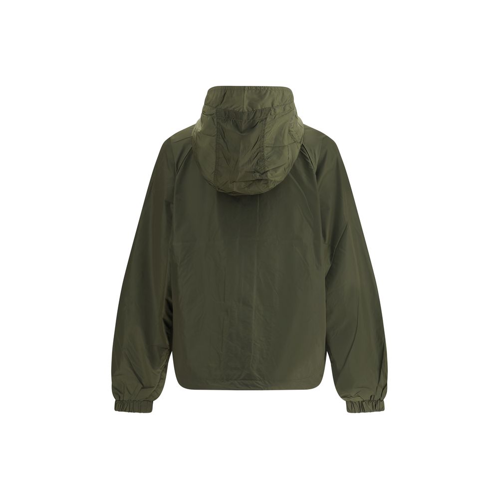 8500922.jpg