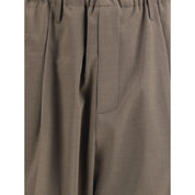Brown Polyester Casual Pants