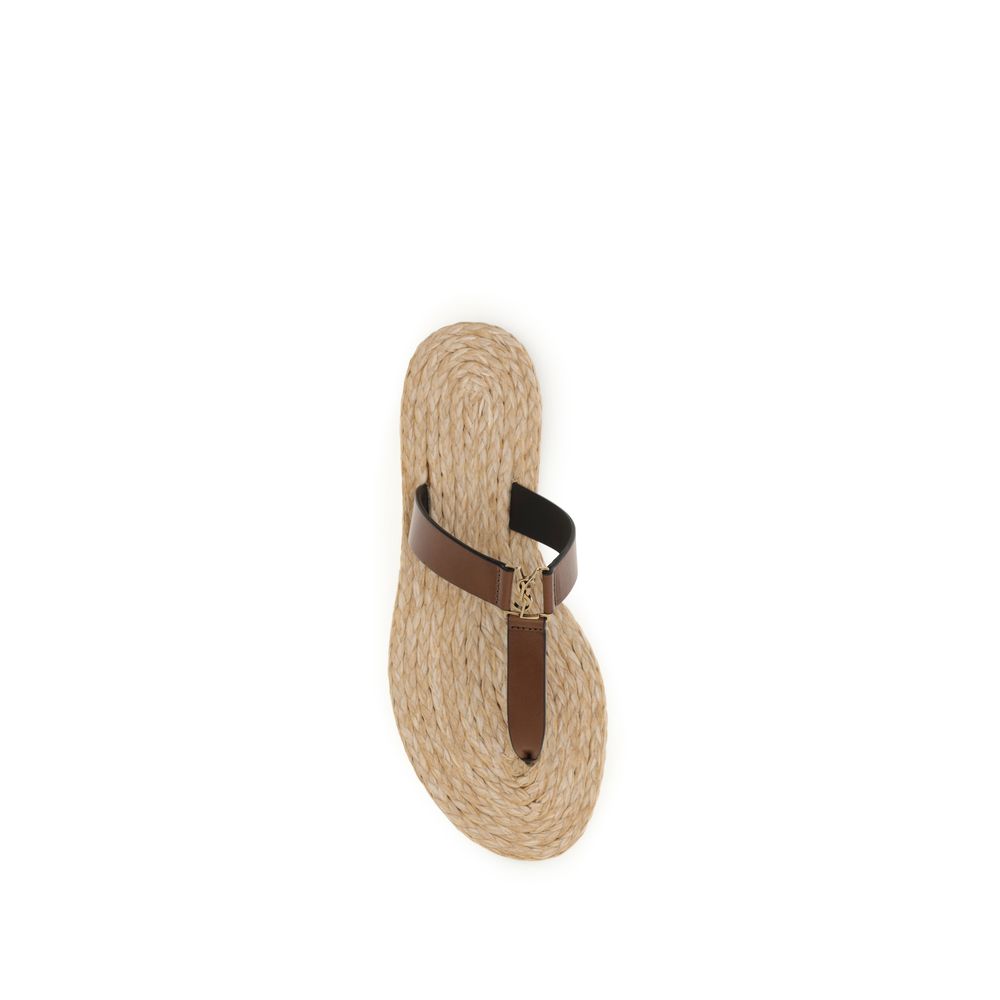 Saint Laurent Brown Calf Leather Thong Sandals