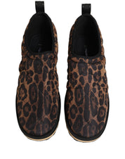 Dolce & Gabbana Brown Leopard Print Low Top Sneakers