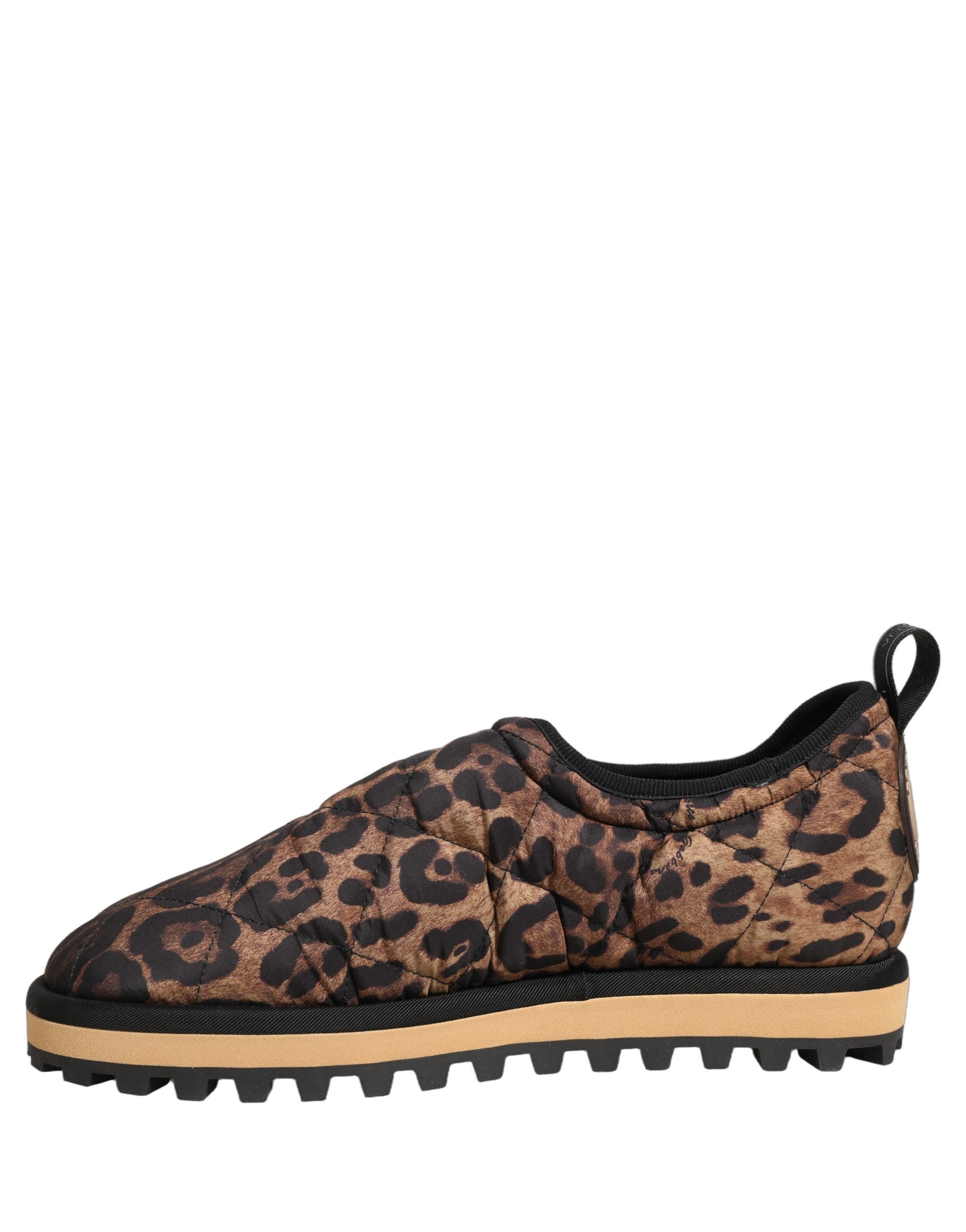 Dolce & Gabbana Brown Leopard Print Low Top Sneakers