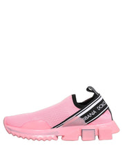 Dolce & Gabbana Pink Multicolor Sorrento Sneakers