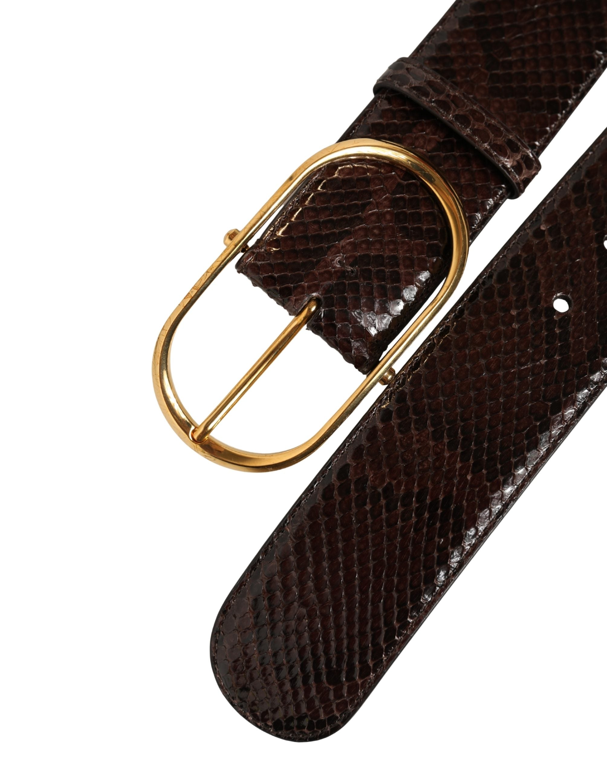 Dolce & Gabbana Brown Python Leather Belt