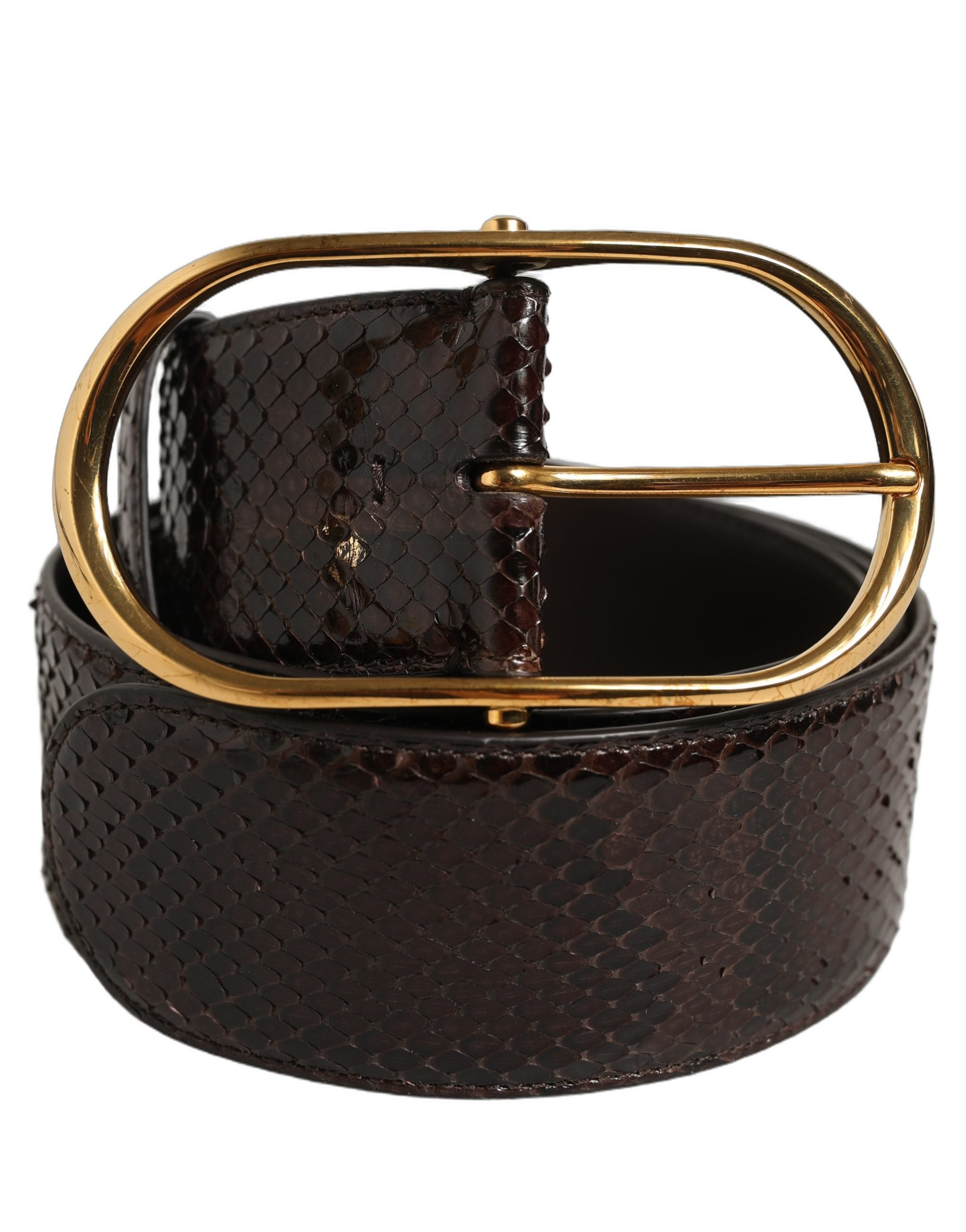 Dolce & Gabbana Brown Python Leather Belt