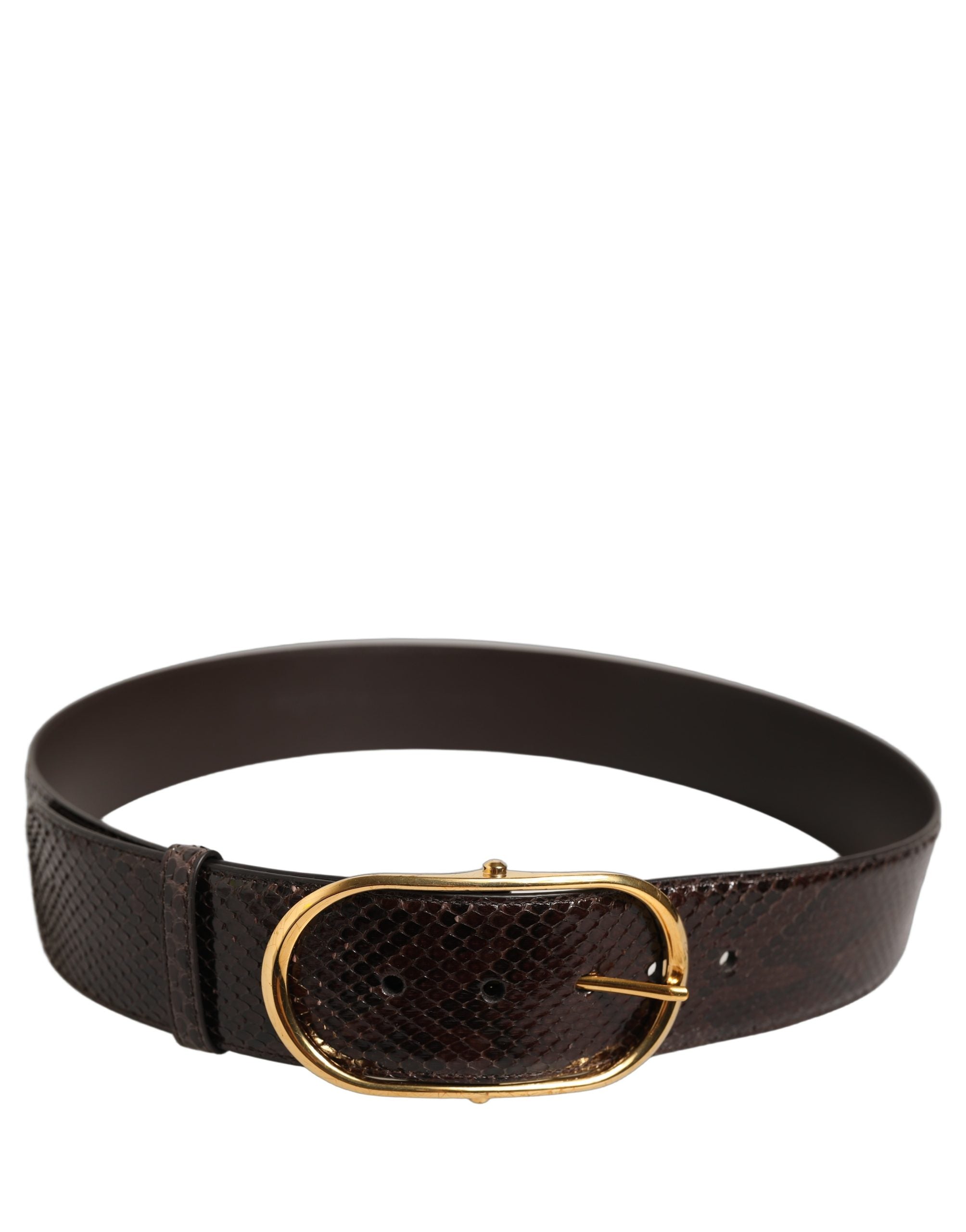 Dolce & Gabbana Brown Python Leather Belt