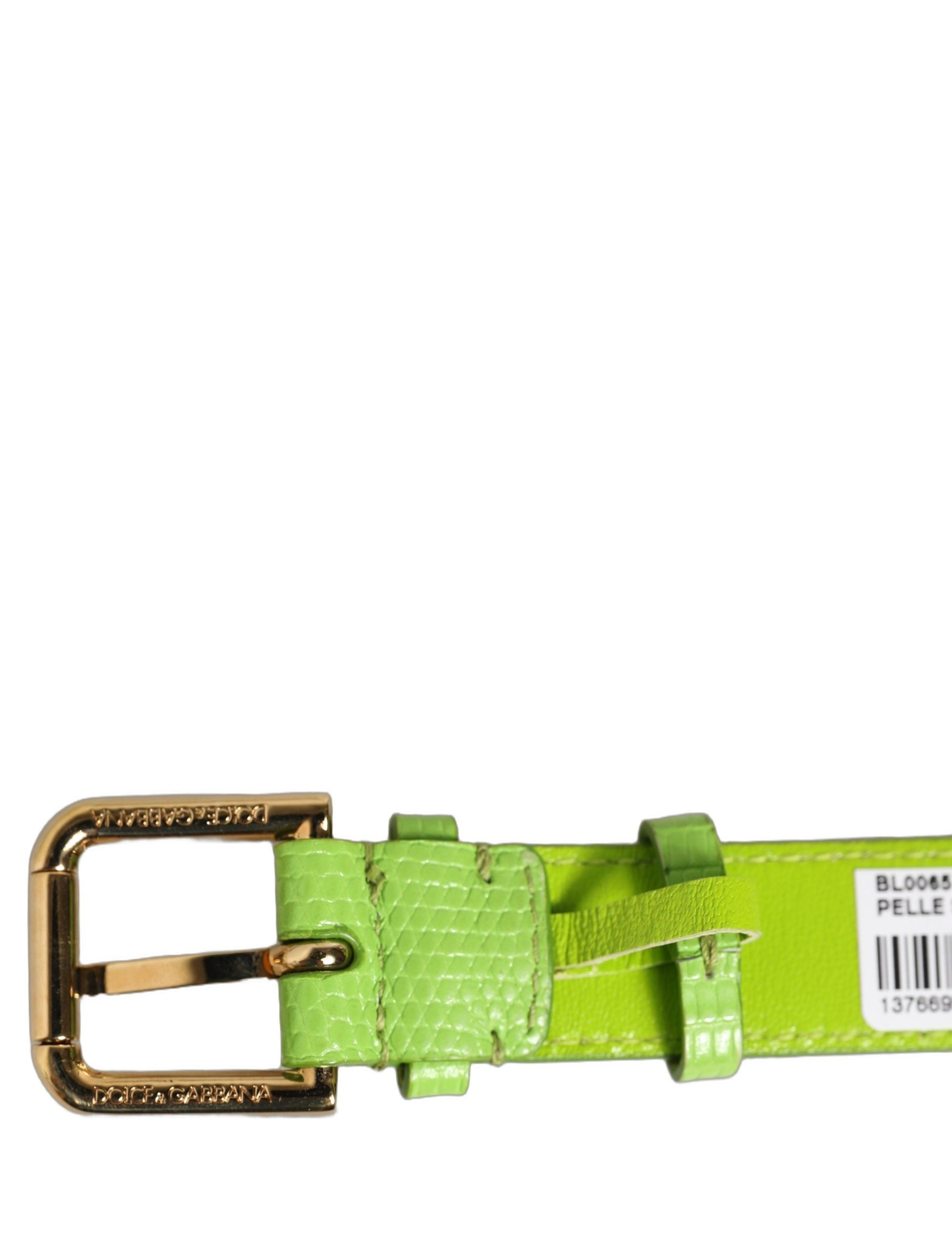 Dolce & Gabbana Green Calf Leather Bracelet