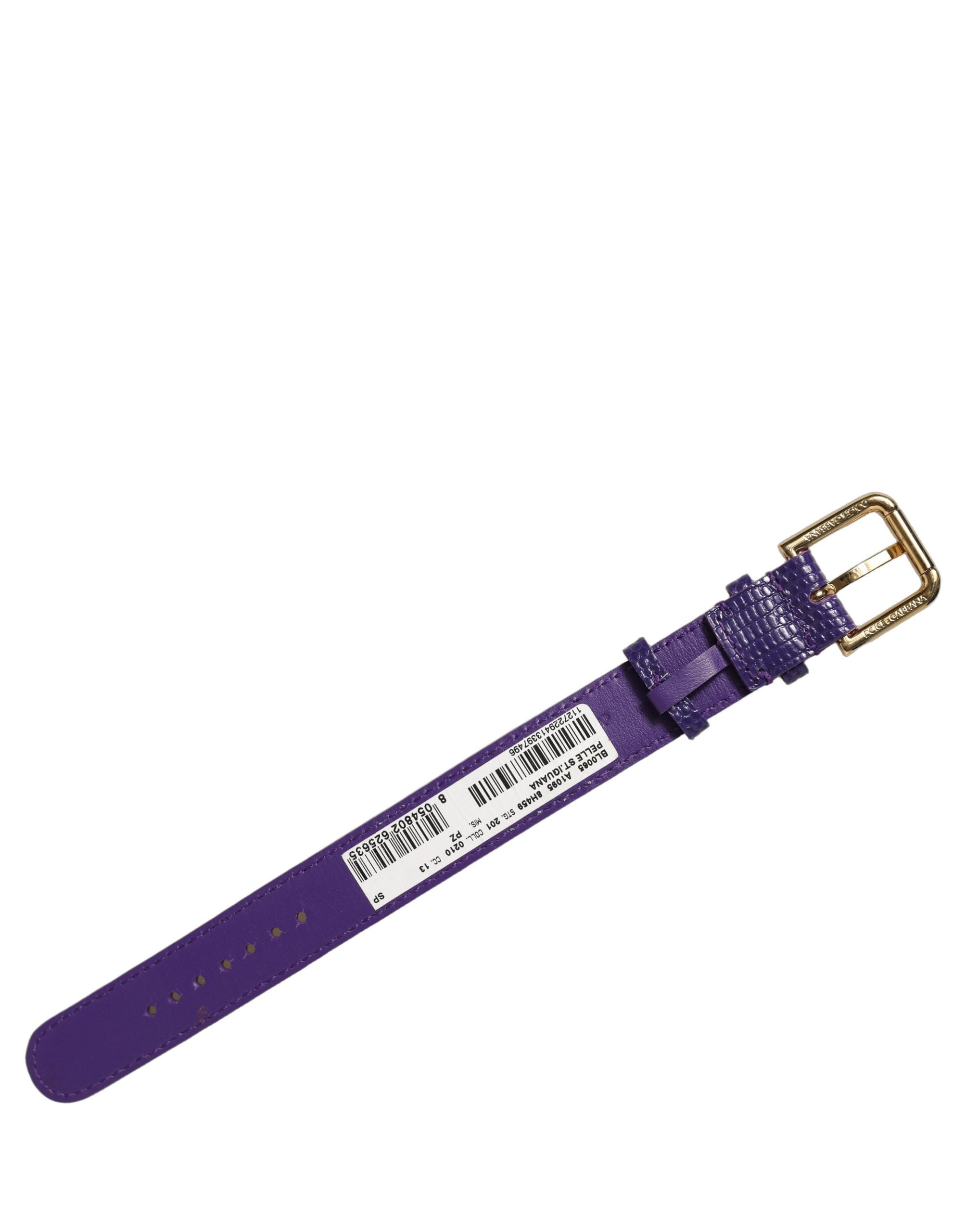Dolce & Gabbana Violet Calf Leather Bracelet Belt