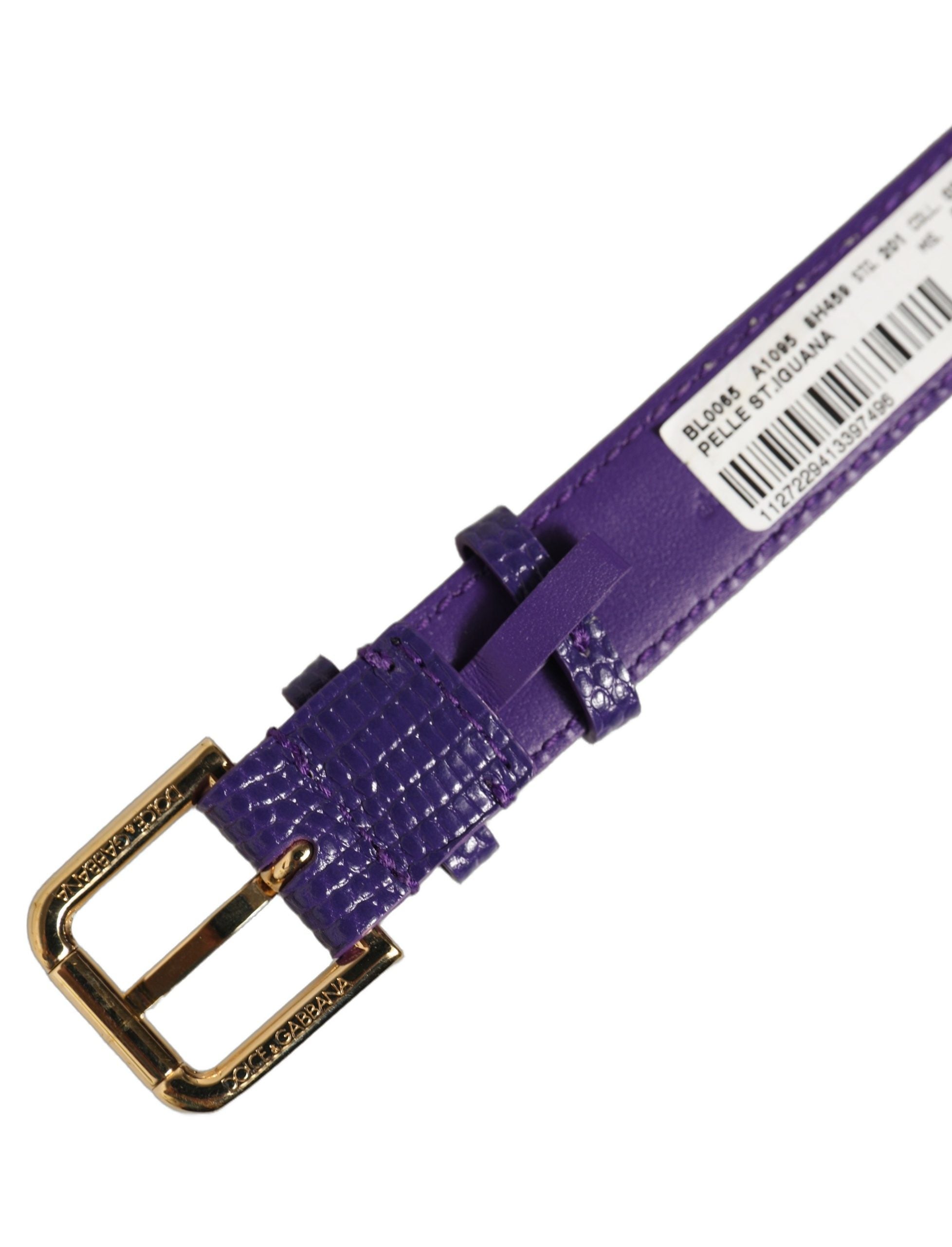 Dolce & Gabbana Violet Calf Leather Bracelet Belt
