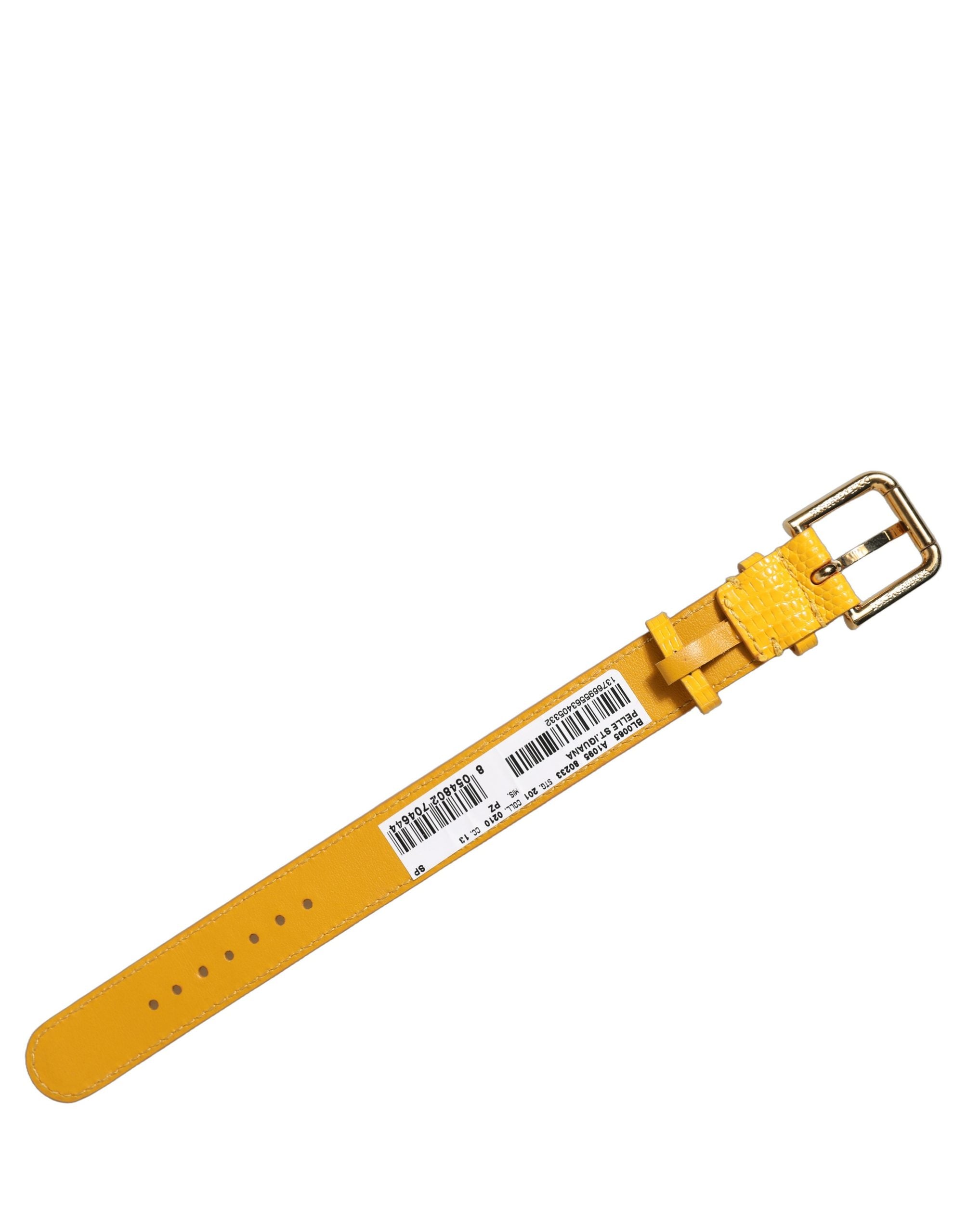 Dolce & Gabbana Yellow Calf Leather Bracelet