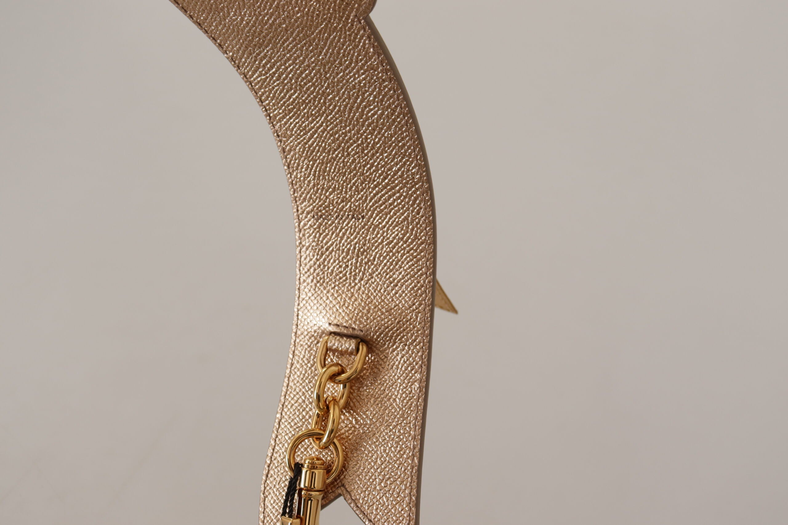 Dolce & Gabbana Gold Leather Shoulder Strap