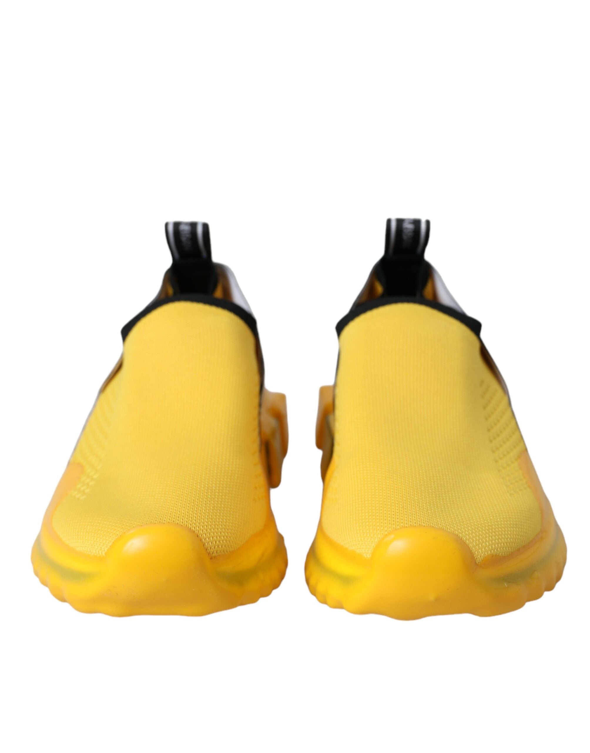 4581733.jpg