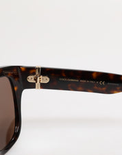 Mörkbrun Havana DG4398F fyrkantig solglasögonbåge