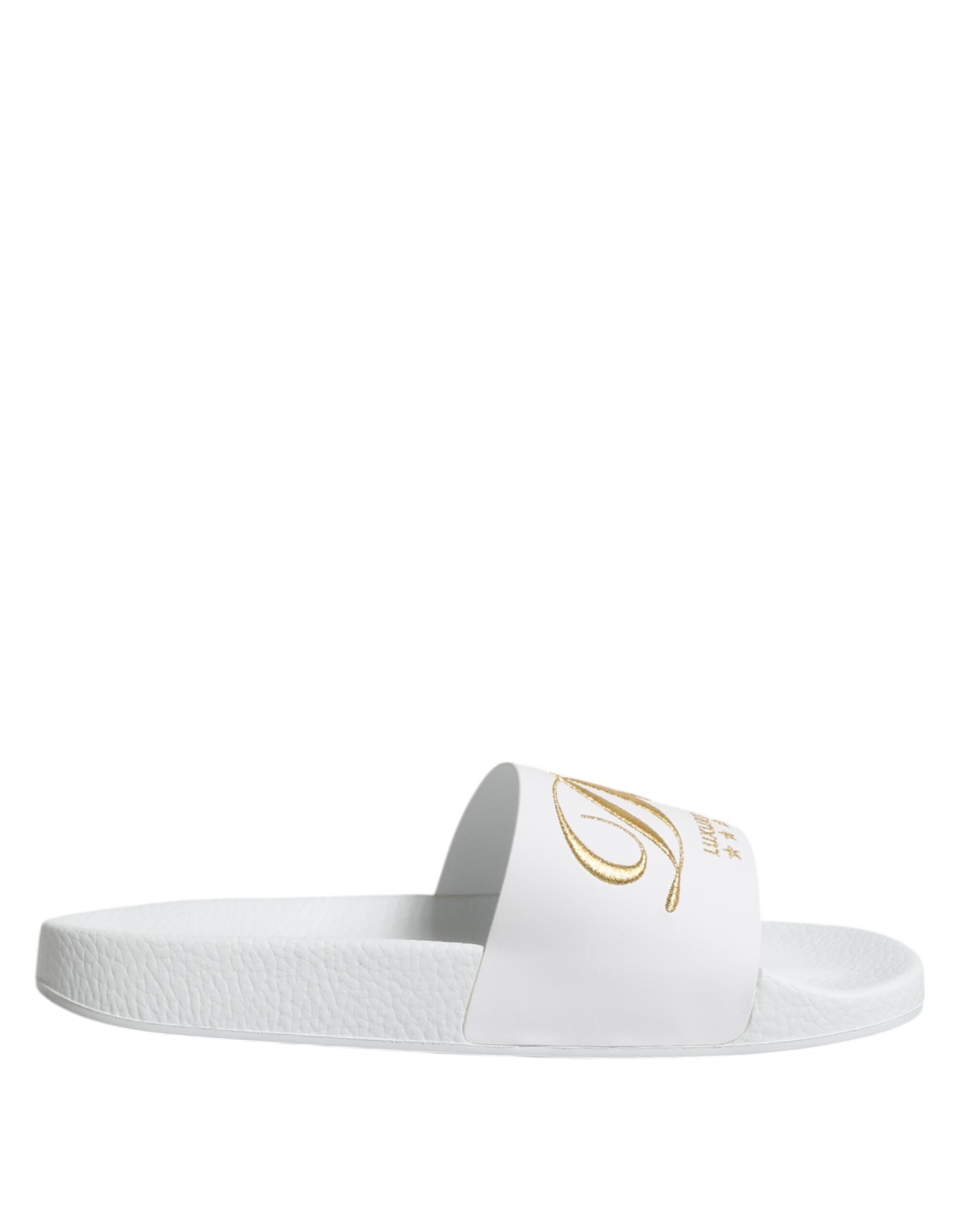 Dolce & Gabbana White Calfskin Slides