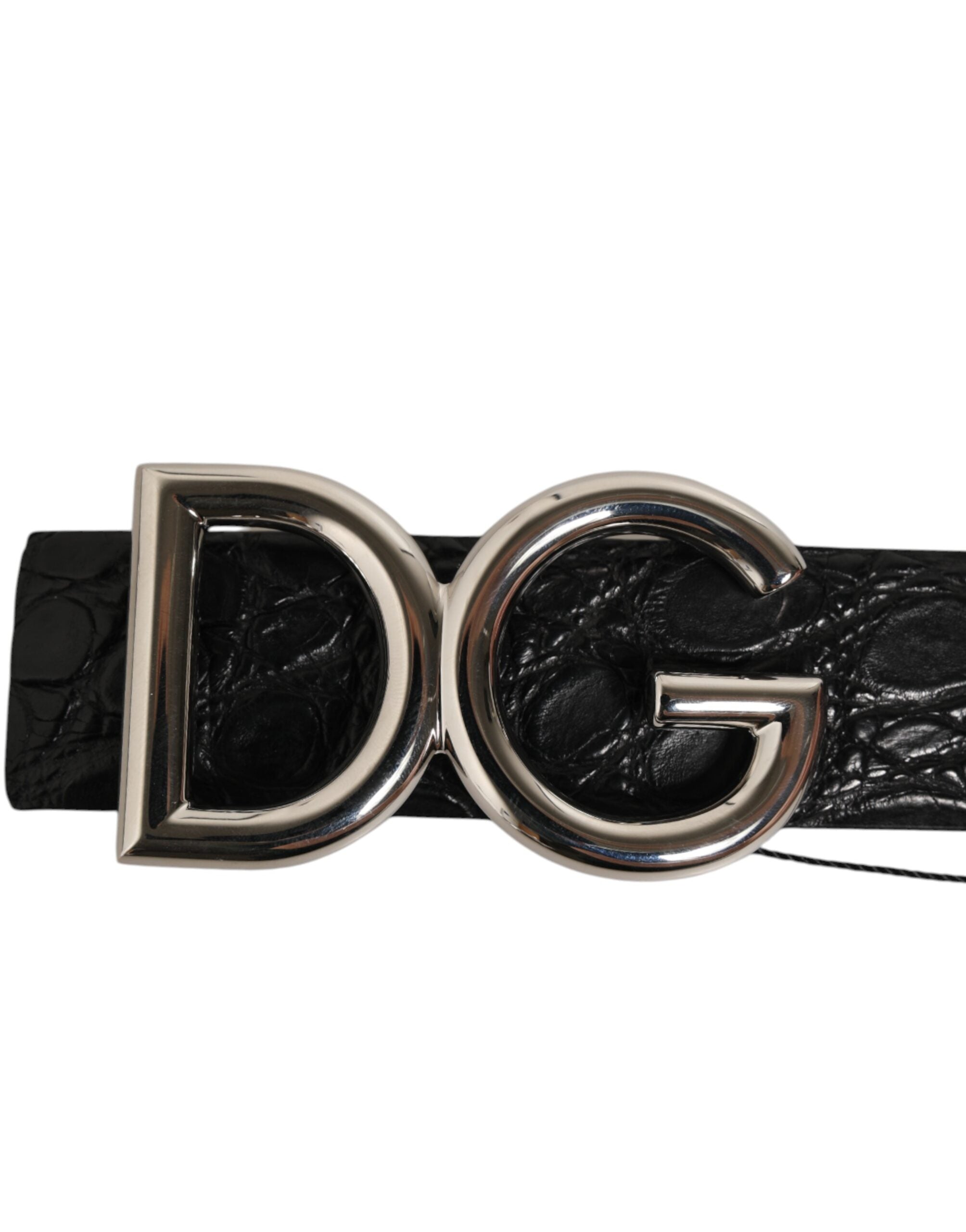 Bälte i exotiskt läder med DG-logobrooch i svart.